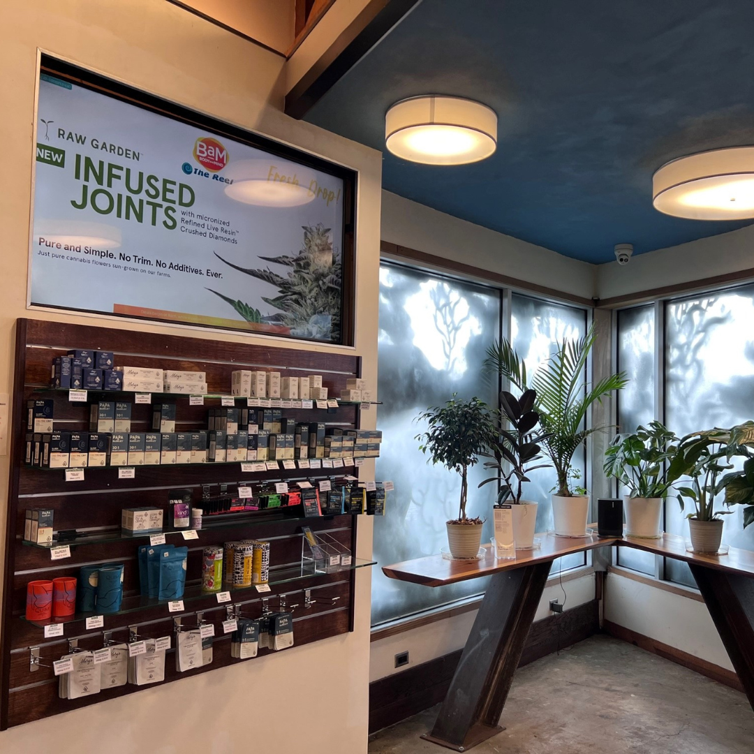 Display shelf with various cannabis products and a bright corner with plants and frosted windows